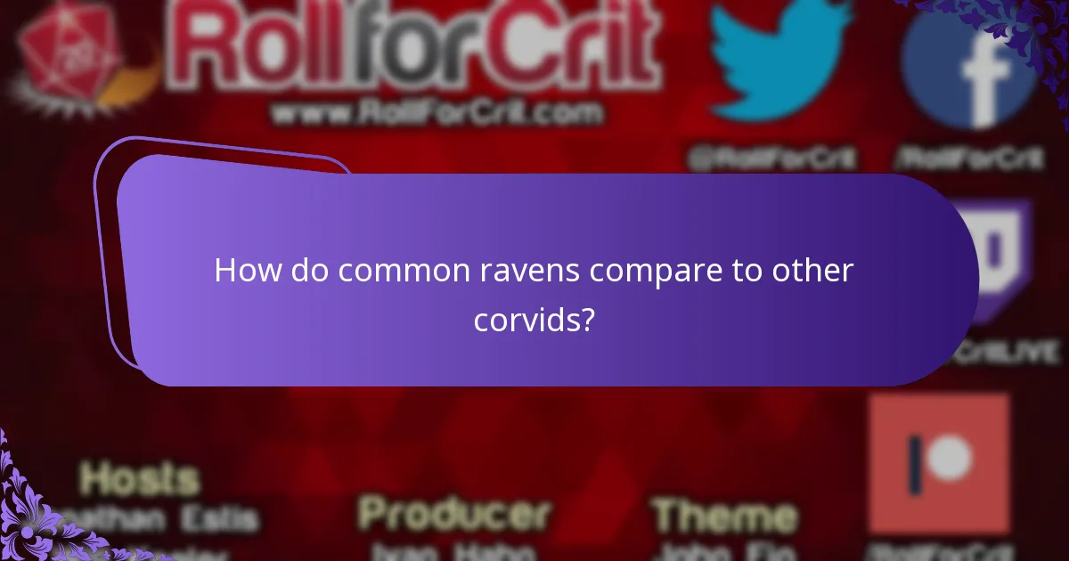 How do common ravens compare to other corvids?