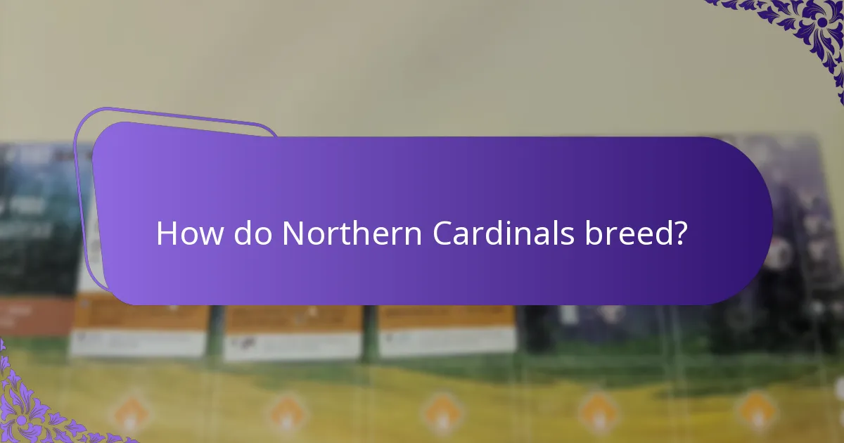 How do Northern Cardinals breed?