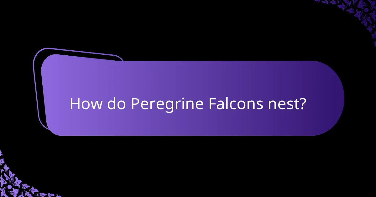 How do Peregrine Falcons nest?