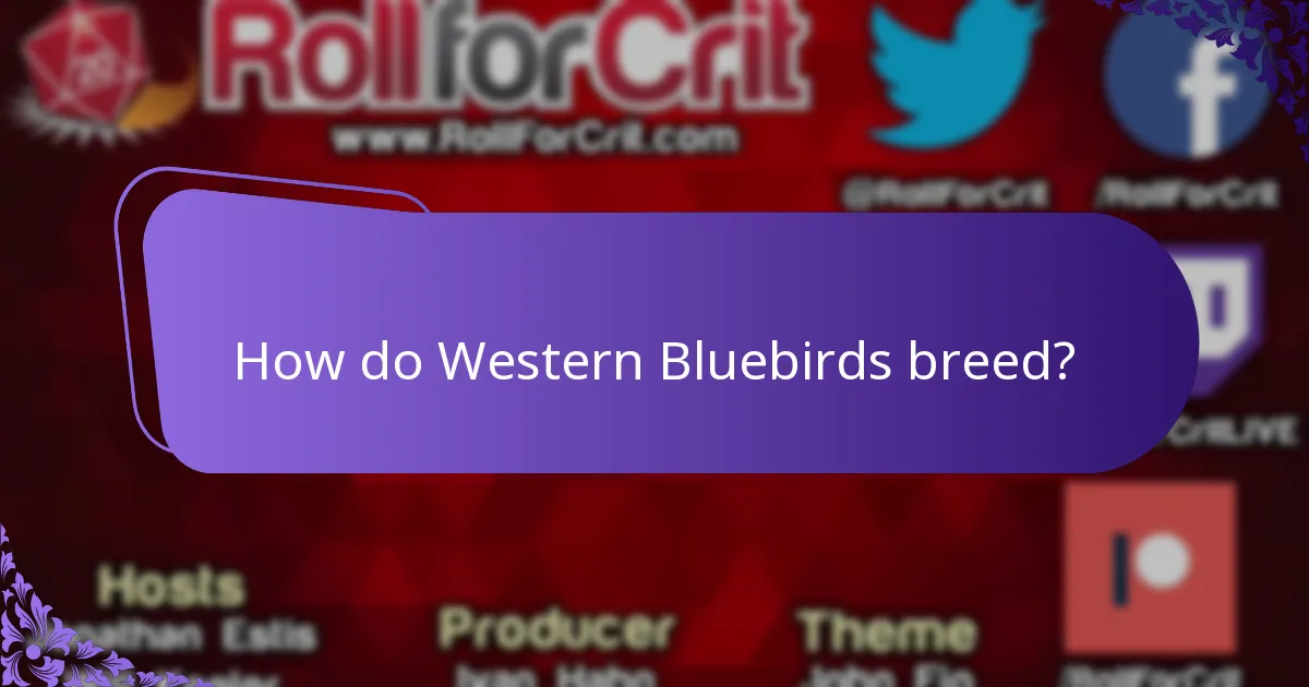 How do Western Bluebirds breed?