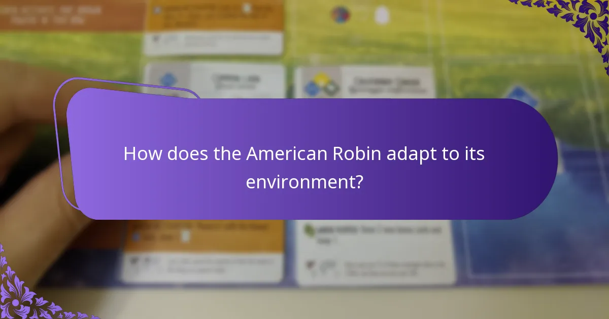 How does the American Robin adapt to its environment?
