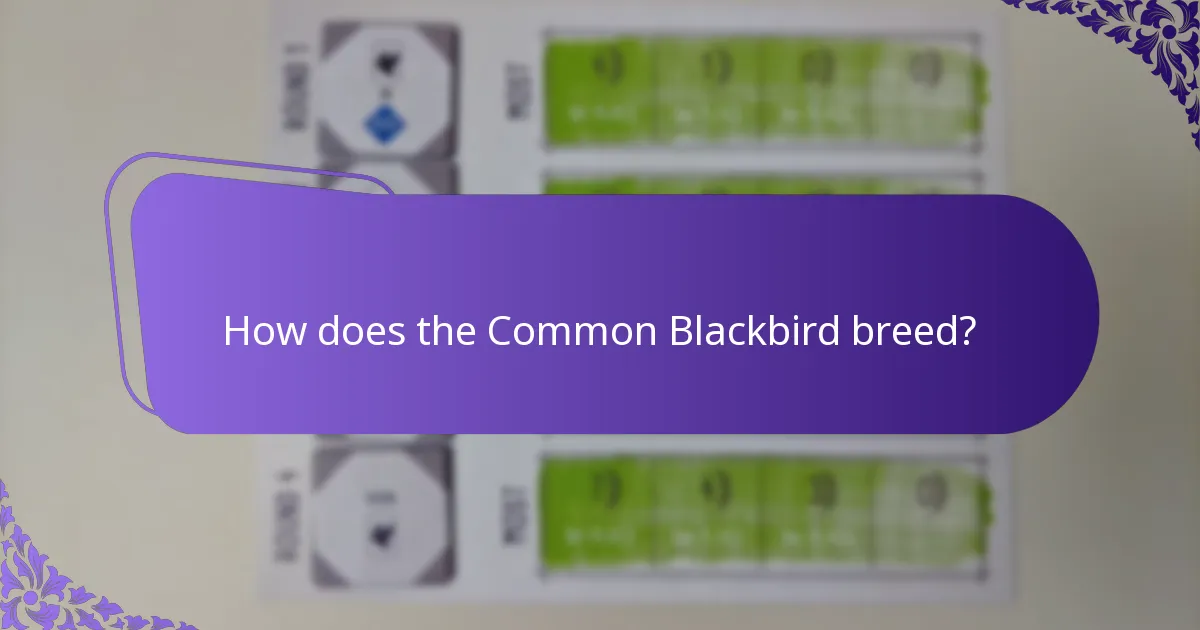 How does the Common Blackbird breed?