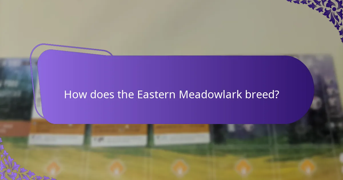 How does the Eastern Meadowlark breed?