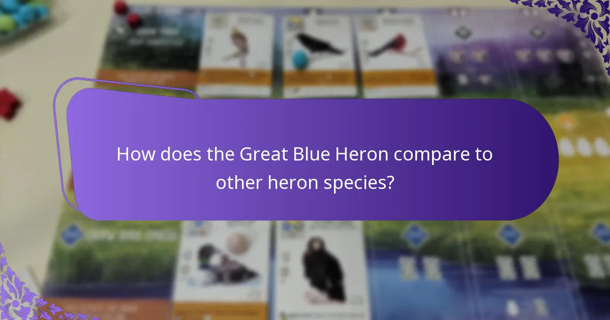 How does the Great Blue Heron compare to other heron species?