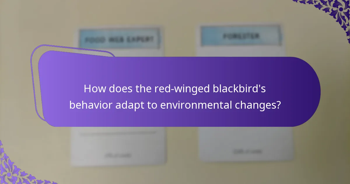 How does the red-winged blackbird's behavior adapt to environmental changes?