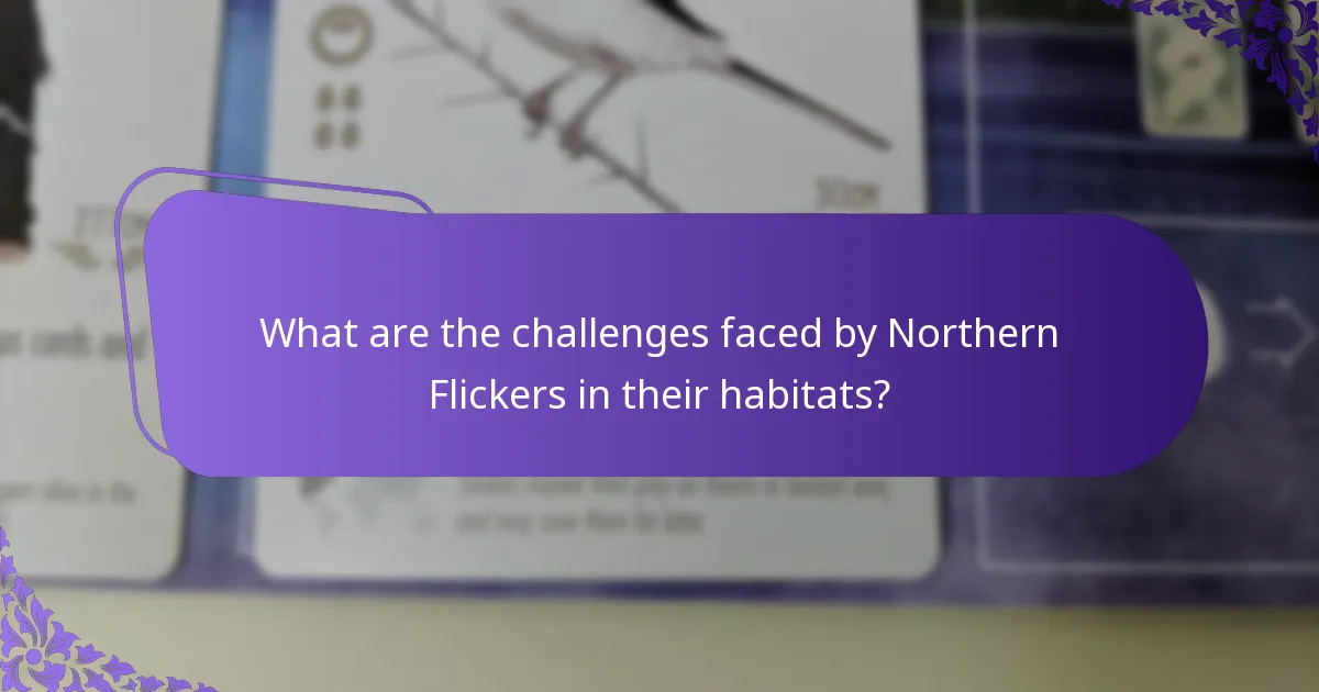 What are the challenges faced by Northern Flickers in their habitats?