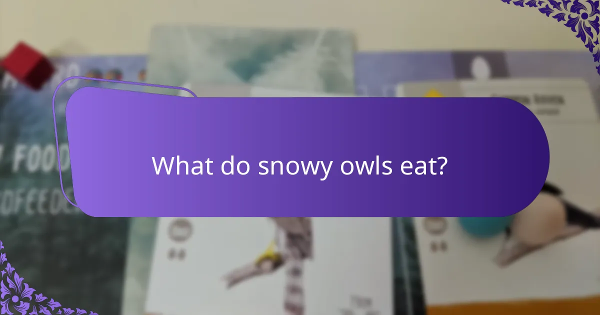 What do snowy owls eat?