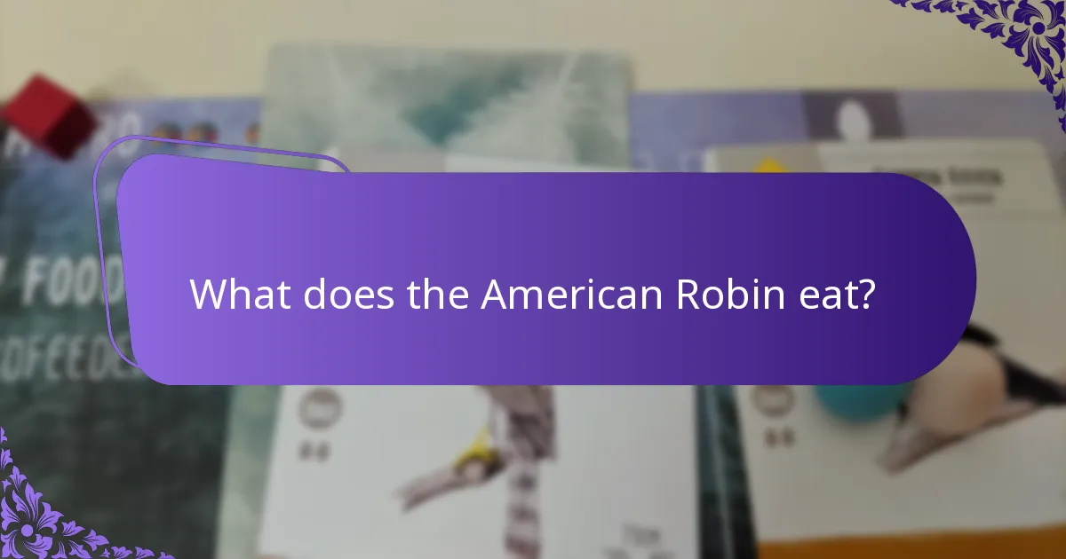 What does the American Robin eat?