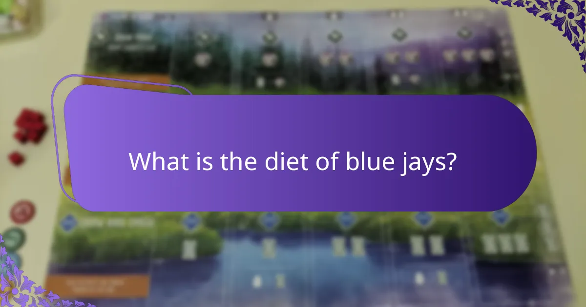 What is the diet of blue jays?