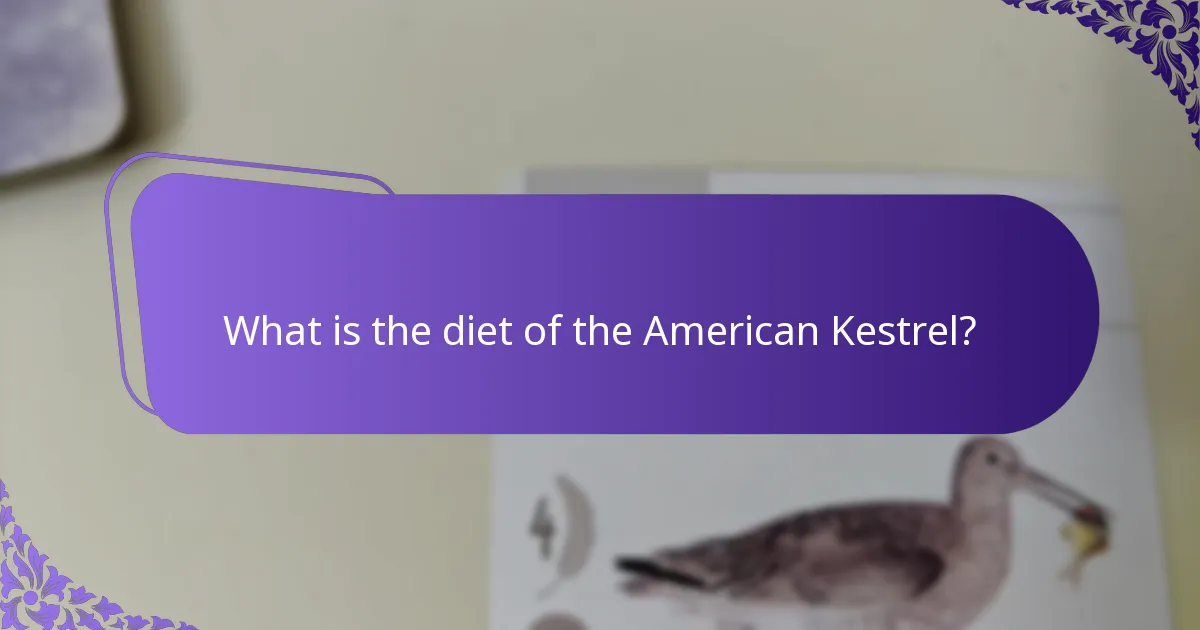 What is the diet of the American Kestrel?